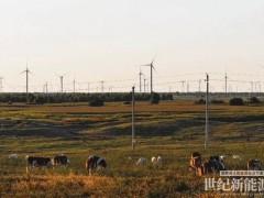 并網(wǎng)一年余,協(xié)合運(yùn)維讓百萬(wàn)千瓦風(fēng)電“轉(zhuǎn)”得安心