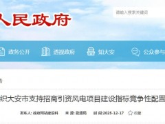 招商引資獎(jiǎng)勵(lì)類項(xiàng)目!吉林大安市150MW風(fēng)電項(xiàng)目啟動(dòng)競(jìng)配